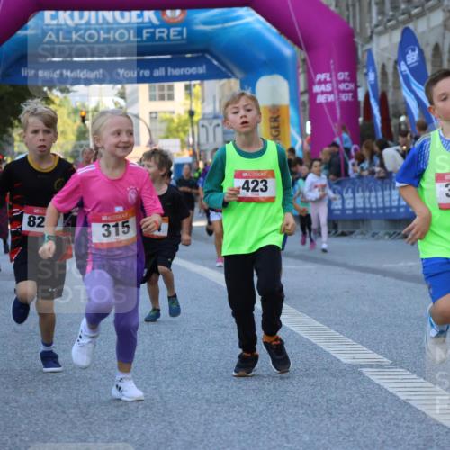 06.09.2026 - CURREX Alsterlauf Strokosch-Dieckow http://msf.ph/oto/10141988 06.09.2026 10:54:49 Ziel 229, 234, 315, 322, 328, 340, 345, 359, 382, 398, 423, 8287 meine-sportfotos.de