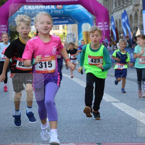 06.09.2026 - CURREX Alsterlauf Strokosch-Dieckow http://msf.ph/oto/10142004 06.09.2026 10:54:51 Ziel 229, 234, 313, 315, 322, 345, 348, 350, 382, 398, 423, 8287 meine-sportfotos.de