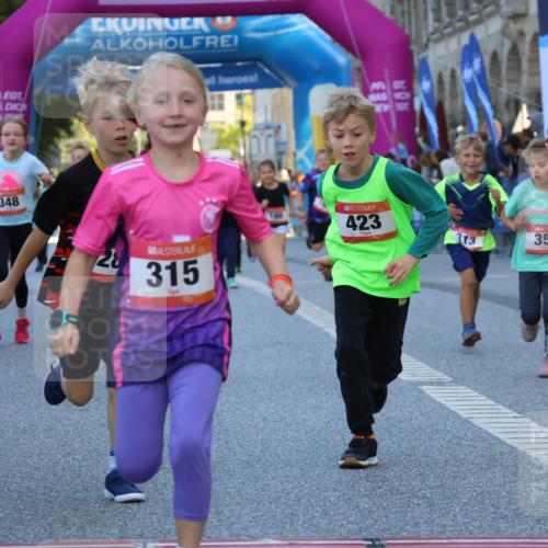 06.09.2026 - CURREX Alsterlauf Strokosch-Dieckow http://msf.ph/oto/10142013 06.09.2026 10:54:51 Ziel 229, 234, 313, 315, 322, 345, 348, 350, 382, 398, 423, 8287 meine-sportfotos.de