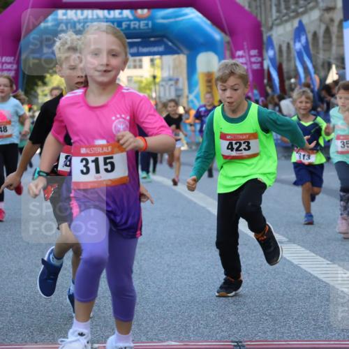 06.09.2026 - CURREX Alsterlauf Strokosch-Dieckow http://msf.ph/oto/10142024 06.09.2026 10:54:51 Ziel 229, 234, 313, 315, 322, 345, 348, 350, 382, 398, 423, 8287 meine-sportfotos.de