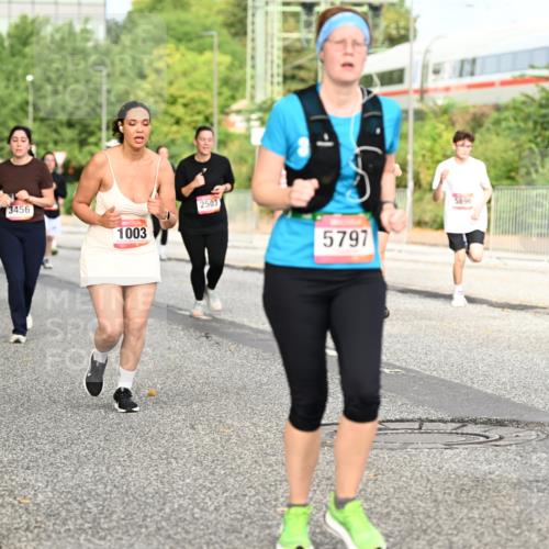 06.09.2026 - CURREX Alsterlauf Dr. Thomas Lammeyer http://msf.ph/oto/10142031 06.09.2026 10:11:21 Laufen 547, 3456, 1003, 2503, 5797, 5896 meine-sportfotos.de