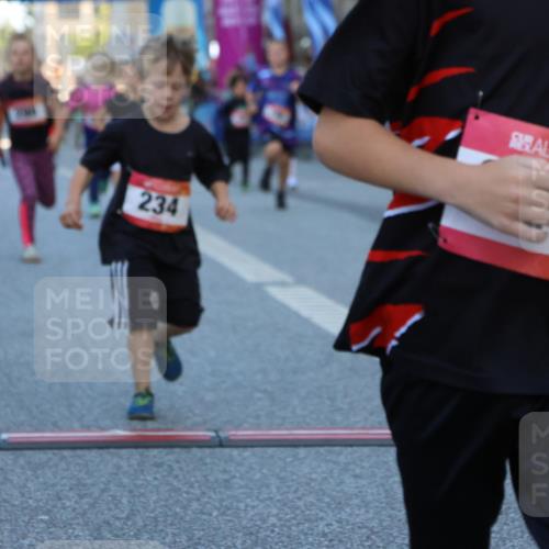 06.09.2026 - CURREX Alsterlauf Strokosch-Dieckow http://msf.ph/oto/10142032 06.09.2026 10:54:54 Ziel 160, 196, 234, 290, 313, 315, 322, 345, 348, 350, 398, 423, 8287 meine-sportfotos.de