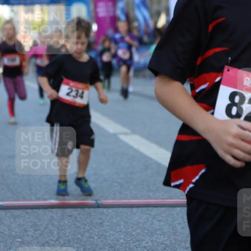 06.09.2026 - CURREX Alsterlauf Strokosch-Dieckow http://msf.ph/oto/10142037 06.09.2026 10:54:54 Ziel 160, 196, 234, 290, 313, 315, 322, 345, 348, 350, 398, 423, 8287 meine-sportfotos.de