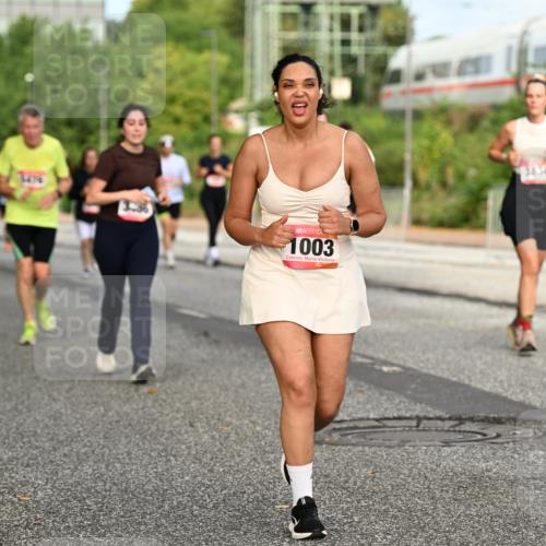 06.09.2026 - CURREX Alsterlauf Dr. Thomas Lammeyer http://msf.ph/oto/10142052 06.09.2026 10:11:22 Laufen 1003, 38, 34 meine-sportfotos.de