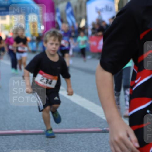 06.09.2026 - CURREX Alsterlauf Strokosch-Dieckow http://msf.ph/oto/10142057 06.09.2026 10:54:54 Ziel 160, 196, 234, 290, 313, 315, 322, 345, 348, 350, 398, 423, 8287 meine-sportfotos.de