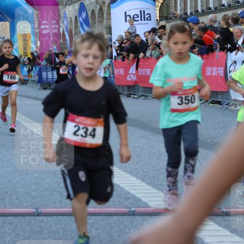 06.09.2026 - CURREX Alsterlauf Strokosch-Dieckow http://msf.ph/oto/10142066 06.09.2026 10:54:55 Ziel 160, 196, 234, 244, 287, 290, 313, 315, 322, 348, 350, 398, 423, 8287 meine-sportfotos.de