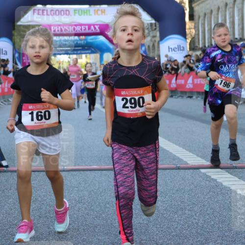 06.09.2026 - CURREX Alsterlauf Strokosch-Dieckow http://msf.ph/oto/10142078 06.09.2026 10:54:59 Ziel 160, 196, 234, 244, 287, 290, 313, 348, 350, 419, 423, 427, 453, 8287 meine-sportfotos.de