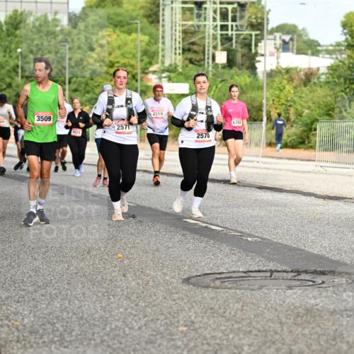06.09.2026 - CURREX Alsterlauf Dr. Thomas Lammeyer http://msf.ph/oto/10142124 06.09.2026 10:11:30 Laufen 3508, 1408, 3509, 4028, 2571, 2559, 2570, 6288, 439 meine-sportfotos.de