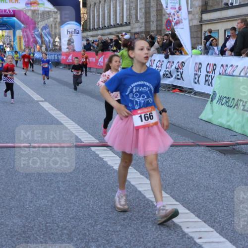 06.09.2026 - CURREX Alsterlauf Strokosch-Dieckow http://msf.ph/oto/10142125 06.09.2026 10:55:34 Ziel 166, 220, 295, 305, 344, 369, 435 meine-sportfotos.de