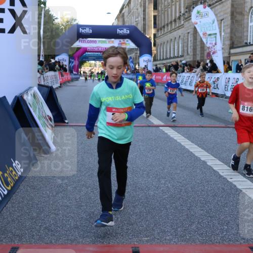 06.09.2026 - CURREX Alsterlauf Strokosch-Dieckow http://msf.ph/oto/10142142 06.09.2026 10:55:41 Ziel 220, 237, 248, 295, 305, 335, 342, 344, 410, 8169 meine-sportfotos.de