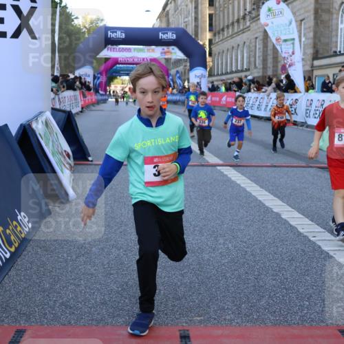 06.09.2026 - CURREX Alsterlauf Strokosch-Dieckow http://msf.ph/oto/10142153 06.09.2026 10:55:42 Ziel 237, 248, 295, 305, 335, 342, 344, 410, 8169 meine-sportfotos.de