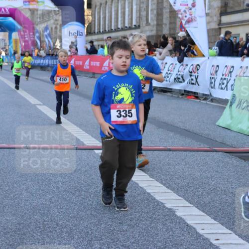 06.09.2026 - CURREX Alsterlauf Strokosch-Dieckow http://msf.ph/oto/10142157 06.09.2026 10:55:44 Ziel 237, 248, 295, 305, 335, 342, 344, 410, 8169 meine-sportfotos.de