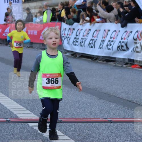 06.09.2026 - CURREX Alsterlauf Strokosch-Dieckow http://msf.ph/oto/10142220 06.09.2026 10:55:51 Ziel 245, 366, 395, 410 meine-sportfotos.de