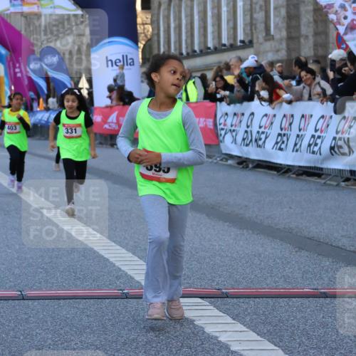 06.09.2026 - CURREX Alsterlauf Strokosch-Dieckow http://msf.ph/oto/10142279 06.09.2026 10:55:56 Ziel 245, 331, 366, 373, 395, 403 meine-sportfotos.de