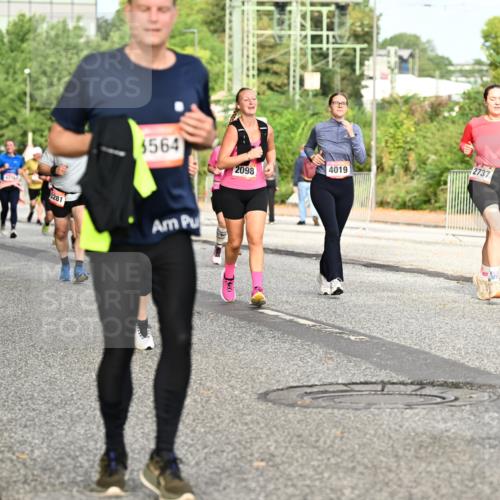 06.09.2026 - CURREX Alsterlauf Dr. Thomas Lammeyer http://msf.ph/oto/10142303 06.09.2026 10:11:48 Laufen 29, 3281, 5564, 2098, 2737, 4019 meine-sportfotos.de