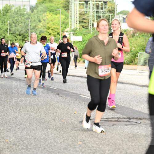 06.09.2026 - CURREX Alsterlauf Dr. Thomas Lammeyer http://msf.ph/oto/10142320 06.09.2026 10:11:50 Laufen 5945, 4370, 4539, 4733, 3281, 4043, 5825 meine-sportfotos.de