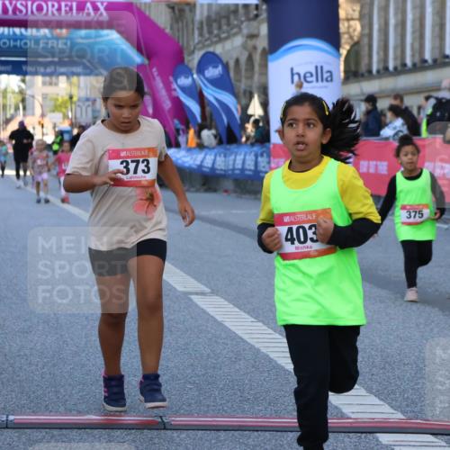06.09.2026 - CURREX Alsterlauf Strokosch-Dieckow http://msf.ph/oto/10142337 06.09.2026 10:56:00 Ziel 245, 331, 373, 375, 395, 403 meine-sportfotos.de