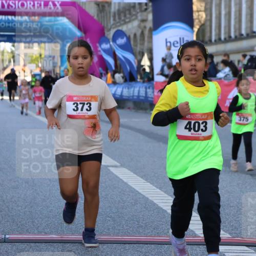 06.09.2026 - CURREX Alsterlauf Strokosch-Dieckow http://msf.ph/oto/10142352 06.09.2026 10:56:00 Ziel 245, 331, 373, 375, 395, 403 meine-sportfotos.de