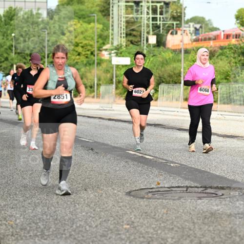06.09.2026 - CURREX Alsterlauf Dr. Thomas Lammeyer http://msf.ph/oto/10142462 06.09.2026 10:12:05 Laufen 2010, 33, 2851, 6022, 8909 meine-sportfotos.de
