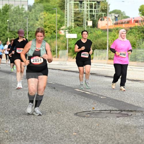 06.09.2026 - CURREX Alsterlauf Dr. Thomas Lammeyer http://msf.ph/oto/10142464 06.09.2026 10:12:05 Laufen 977, 367, 3311, 2851, 6022, 6068 meine-sportfotos.de
