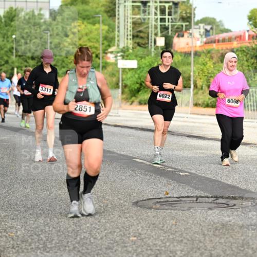 06.09.2026 - CURREX Alsterlauf Dr. Thomas Lammeyer http://msf.ph/oto/10142469 06.09.2026 10:12:05 Laufen 201, 3311, 2851, 6022, 6068 meine-sportfotos.de