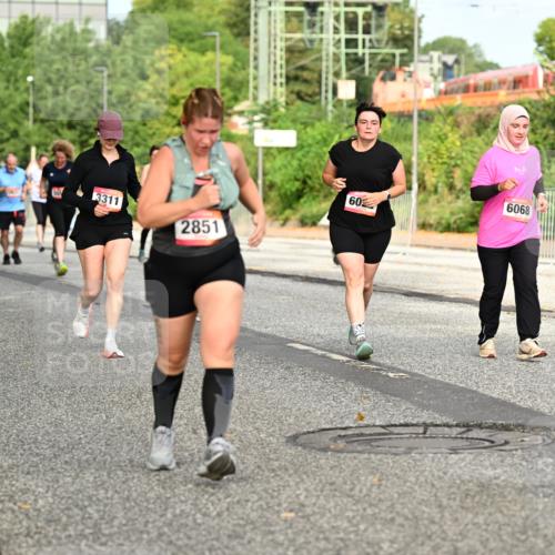 06.09.2026 - CURREX Alsterlauf Dr. Thomas Lammeyer http://msf.ph/oto/10142470 06.09.2026 10:12:05 Laufen 2610, 3311, 2851, 60, 6068 meine-sportfotos.de