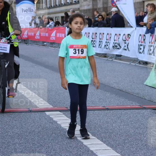 06.09.2026 - CURREX Alsterlauf Strokosch-Dieckow http://msf.ph/oto/10142474 06.09.2026 10:56:30 Ziel 319, 337, 8317 meine-sportfotos.de