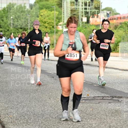 06.09.2026 - CURREX Alsterlauf Dr. Thomas Lammeyer http://msf.ph/oto/10142478 06.09.2026 10:12:06 Laufen 2851, 6022, 6068 meine-sportfotos.de