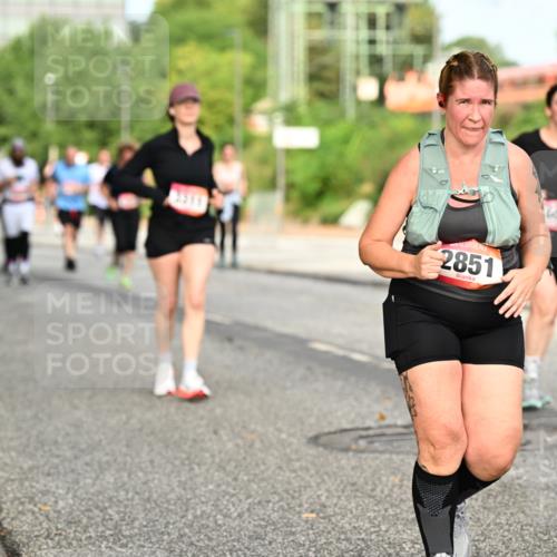06.09.2026 - CURREX Alsterlauf Dr. Thomas Lammeyer http://msf.ph/oto/10142484 06.09.2026 10:12:07 Laufen 2851, 60 meine-sportfotos.de