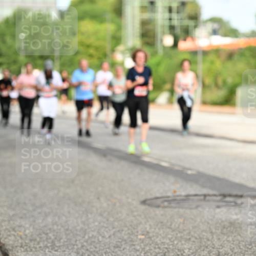 06.09.2026 - CURREX Alsterlauf Dr. Thomas Lammeyer http://msf.ph/oto/10142519 06.09.2026 10:12:10 Laufen  meine-sportfotos.de