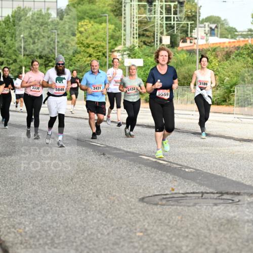 06.09.2026 - CURREX Alsterlauf Dr. Thomas Lammeyer http://msf.ph/oto/10142523 06.09.2026 10:12:11 Laufen 2810, 2910, 3330, 2744, 5849, 2431, 2432, 5559, 3189 meine-sportfotos.de