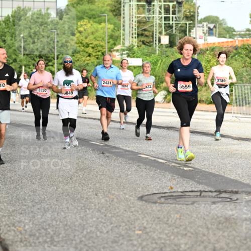06.09.2026 - CURREX Alsterlauf Dr. Thomas Lammeyer http://msf.ph/oto/10142529 06.09.2026 10:12:11 Laufen 2910, 3330, 2880, 5849, 2431, 3189, 2810, 432, 5559 meine-sportfotos.de
