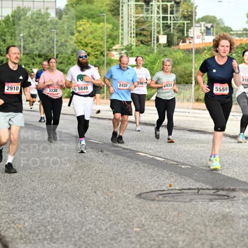 06.09.2026 - CURREX Alsterlauf Dr. Thomas Lammeyer http://msf.ph/oto/10142535 06.09.2026 10:12:12 Laufen 288, 2910, 2431, 810, 3330, 5849, 2432, 5559, 3185 meine-sportfotos.de