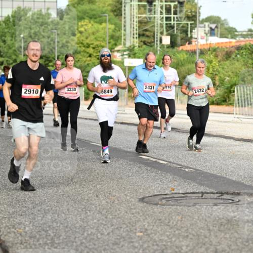 06.09.2026 - CURREX Alsterlauf Dr. Thomas Lammeyer http://msf.ph/oto/10142544 06.09.2026 10:12:13 Laufen 2830, 2910, 3330, 2431, 810, 5559, 5849, 2432 meine-sportfotos.de