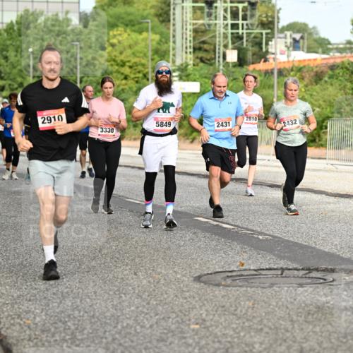 06.09.2026 - CURREX Alsterlauf Dr. Thomas Lammeyer http://msf.ph/oto/10142547 06.09.2026 10:12:13 Laufen 2880, 2910, 3330, 5849, 2810, 2431, 2432, 555 meine-sportfotos.de