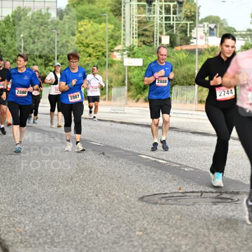 06.09.2026 - CURREX Alsterlauf Dr. Thomas Lammeyer http://msf.ph/oto/10142590 06.09.2026 10:12:18 Laufen 2454, 810, 2880, 55, 2887, 5308, 2888, 2744, 3330 meine-sportfotos.de