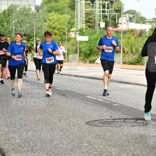 06.09.2026 - CURREX Alsterlauf Dr. Thomas Lammeyer http://msf.ph/oto/10142597 06.09.2026 10:12:18 Laufen 8109, 2880, 557, 2888, 2887, 27, 3330 meine-sportfotos.de