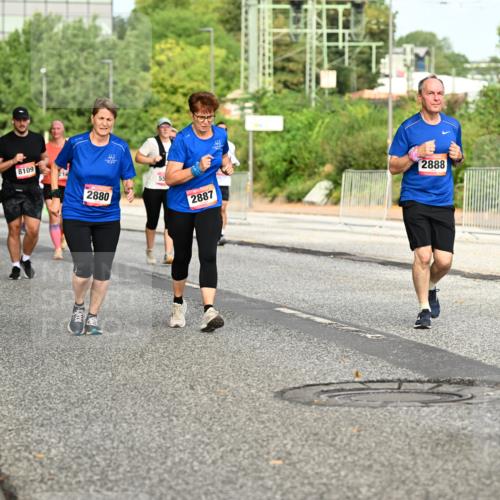 06.09.2026 - CURREX Alsterlauf Dr. Thomas Lammeyer http://msf.ph/oto/10142603 06.09.2026 10:12:19 Laufen 8109, 197, 2880, 55, 2887, 2888 meine-sportfotos.de