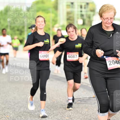 06.09.2026 - CURREX Alsterlauf Dr. Thomas Lammeyer http://msf.ph/oto/10142777 06.09.2026 10:12:39 Laufen 6087, 2048 meine-sportfotos.de