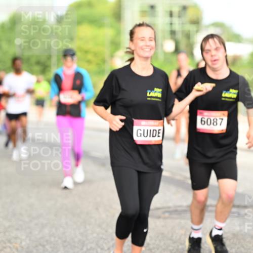 06.09.2026 - CURREX Alsterlauf Dr. Thomas Lammeyer http://msf.ph/oto/10142786 06.09.2026 10:12:40 Laufen 6087 meine-sportfotos.de
