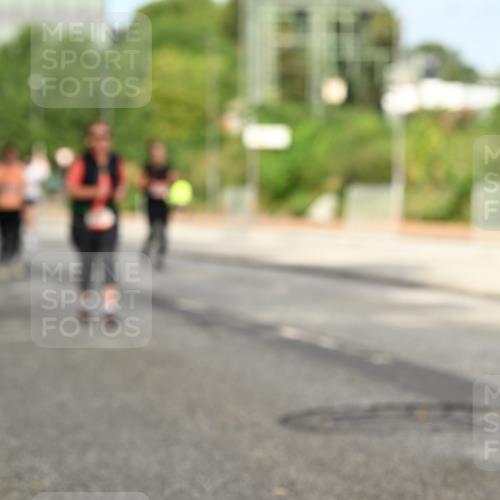 06.09.2026 - CURREX Alsterlauf Dr. Thomas Lammeyer http://msf.ph/oto/10143401 06.09.2026 10:14:00 Laufen 30 meine-sportfotos.de