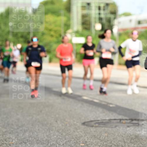 06.09.2026 - CURREX Alsterlauf Dr. Thomas Lammeyer http://msf.ph/oto/10143498 06.09.2026 10:14:10 Laufen  meine-sportfotos.de