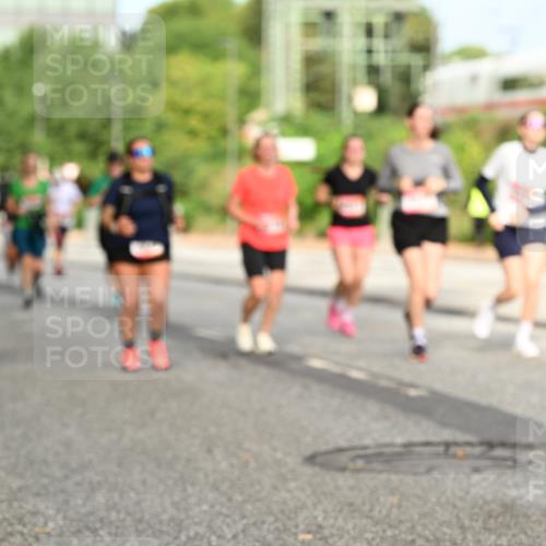 06.09.2026 - CURREX Alsterlauf Dr. Thomas Lammeyer http://msf.ph/oto/10143500 06.09.2026 10:14:10 Laufen  meine-sportfotos.de