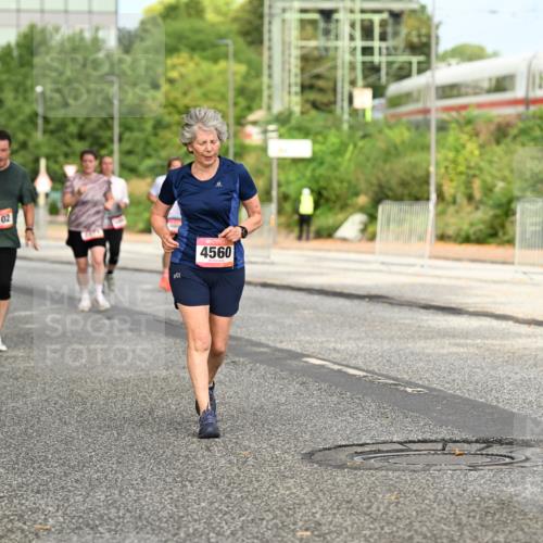 06.09.2026 - CURREX Alsterlauf Dr. Thomas Lammeyer http://msf.ph/oto/10143627 06.09.2026 10:14:25 Laufen 4102, 4560 meine-sportfotos.de