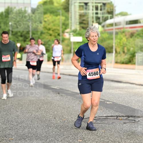 06.09.2026 - CURREX Alsterlauf Dr. Thomas Lammeyer http://msf.ph/oto/10143638 06.09.2026 10:14:26 Laufen 4102, 4560 meine-sportfotos.de