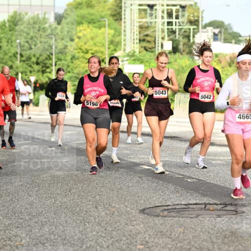06.09.2026 - CURREX Alsterlauf Dr. Thomas Lammeyer http://msf.ph/oto/10143836 06.09.2026 10:14:59 Laufen 3145, 26, 5426, 5196, 4500, 5043, 2026, 5042, 4665 meine-sportfotos.de