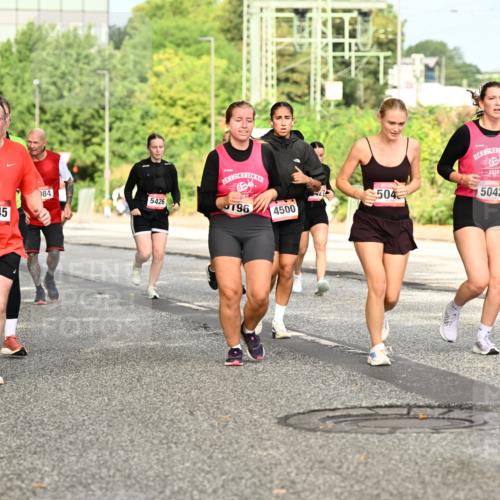 06.09.2026 - CURREX Alsterlauf Dr. Thomas Lammeyer http://msf.ph/oto/10143846 06.09.2026 10:14:59 Laufen 3145, 084, 504, 5426, 196, 4500, 2026, 5042, 4665 meine-sportfotos.de