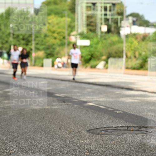 06.09.2026 - CURREX Alsterlauf Dr. Thomas Lammeyer http://msf.ph/oto/10143947 06.09.2026 10:15:13 Laufen  meine-sportfotos.de