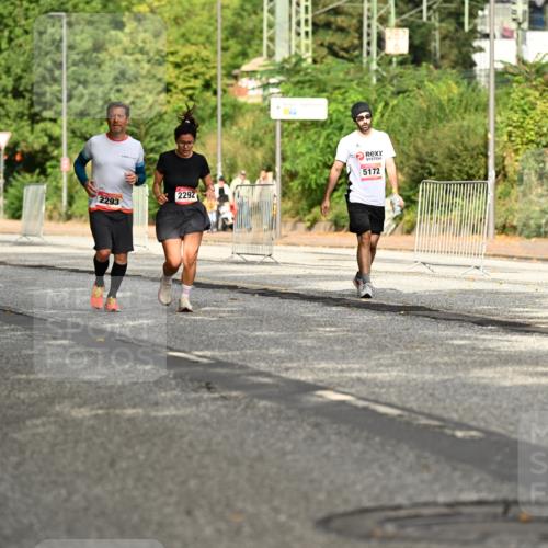 06.09.2026 - CURREX Alsterlauf Dr. Thomas Lammeyer http://msf.ph/oto/10143962 06.09.2026 10:15:16 Laufen 195, 2293, 2292, 5172 meine-sportfotos.de