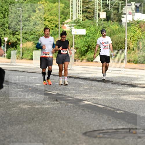 06.09.2026 - CURREX Alsterlauf Dr. Thomas Lammeyer http://msf.ph/oto/10143970 06.09.2026 10:15:17 Laufen 2293, 2292, 5172 meine-sportfotos.de